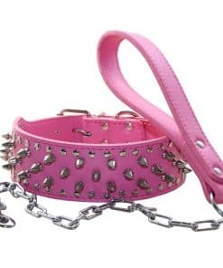 Collar de Perro con Tachuelas de Punk con Hebilla de Acero