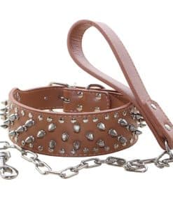 Collar de Perro Claveteado estilo Punk con Remaches