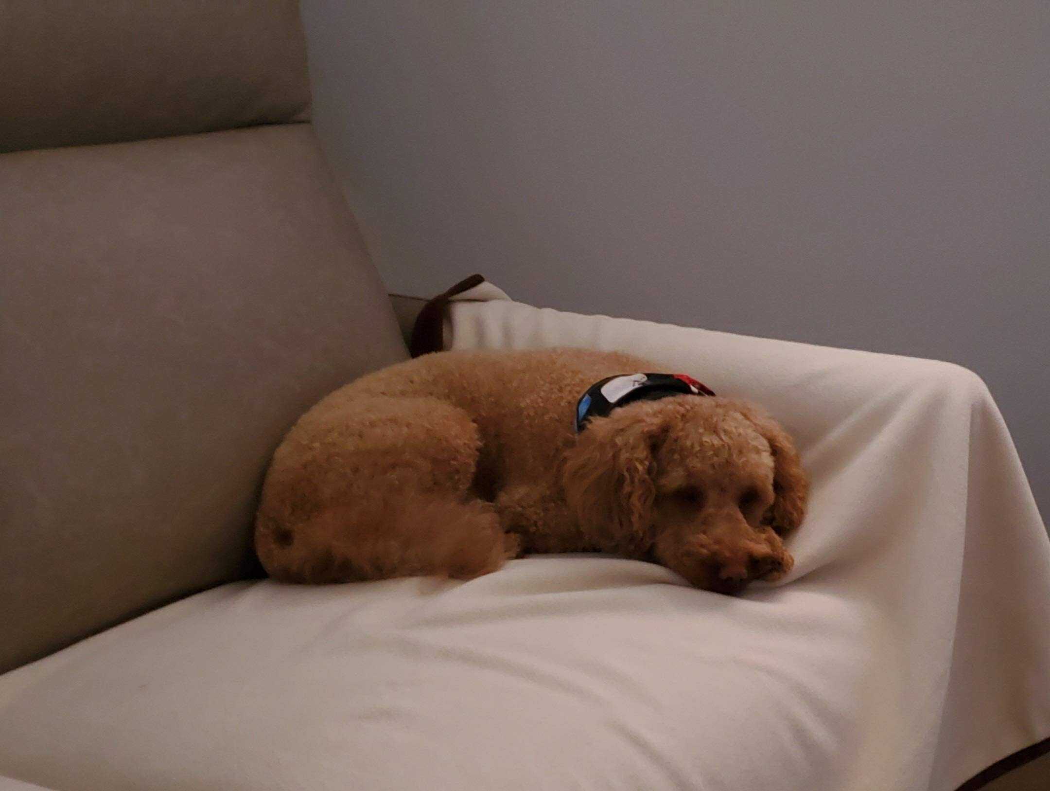 Manta Impermeable 100% Reversible Marrón/Beige para - Imagen 5