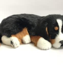 Perfect Petzzz Bernese Mountain Dog - La Original Mascota