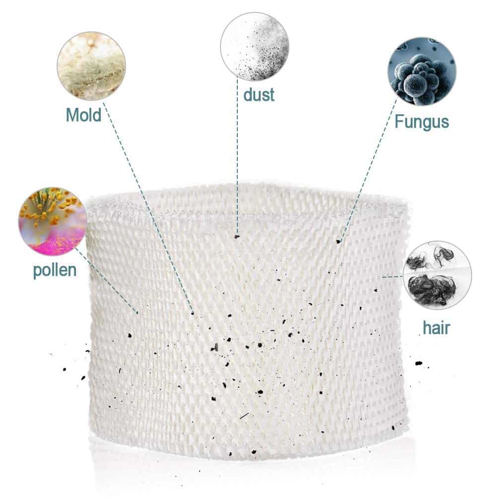 Filtros de Repuesto para Humidificador HIFROM Compatible - Imagen 5