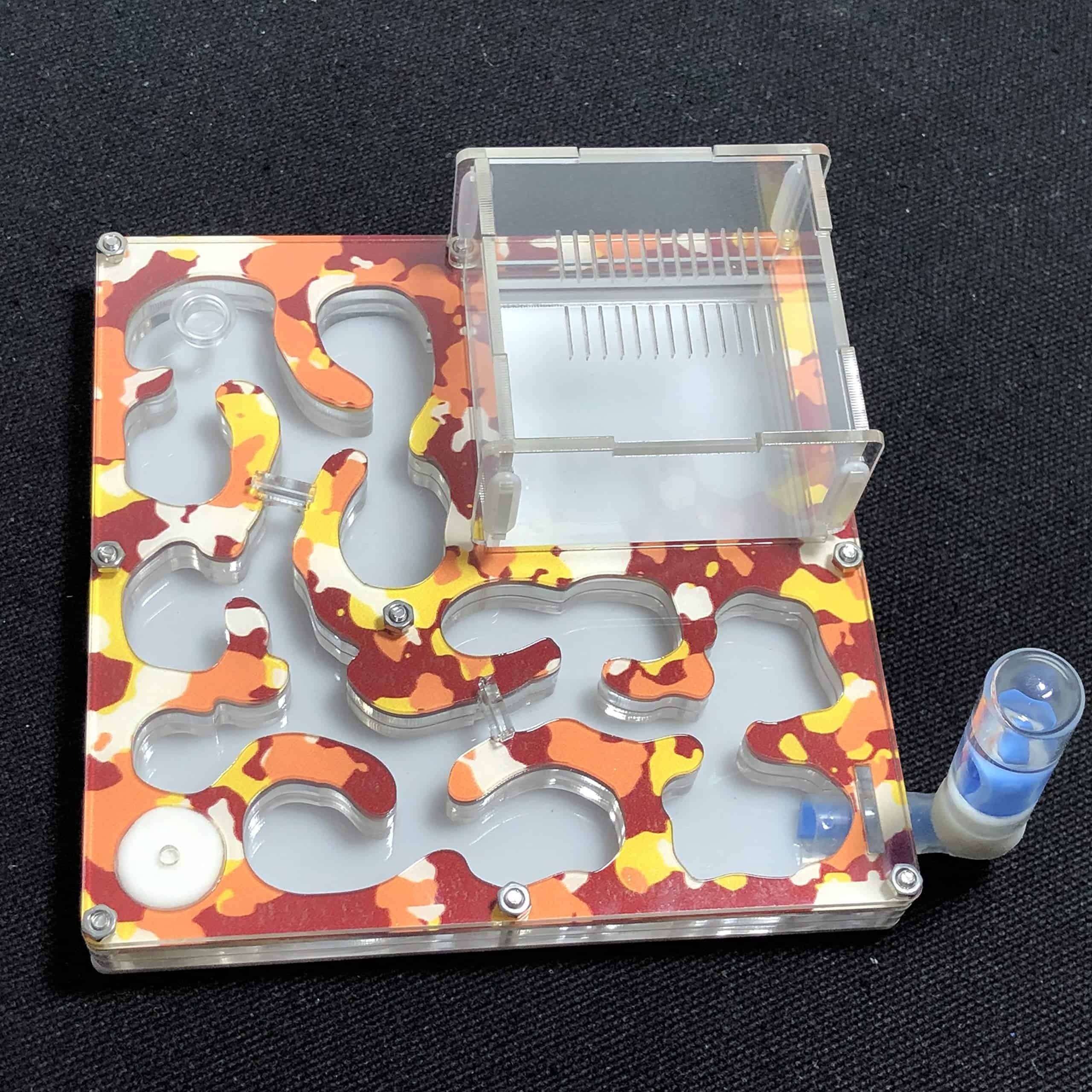 Hormiguero de Camuflaje para Apicultura Gran Formicario - Imagen 4