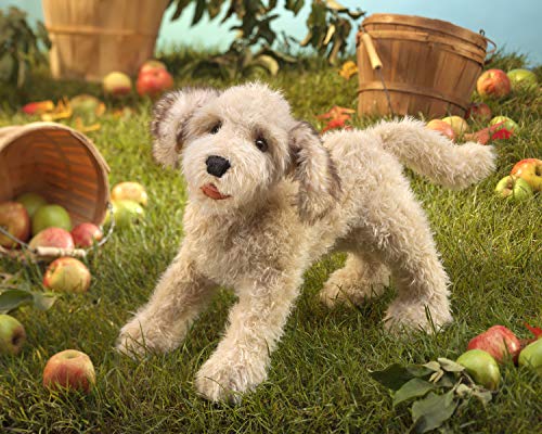 Marioneta de Mano Folkmanis Labradoodle, Talla Única, - Imagen 5