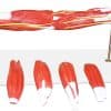 Jackson Global JS00099 Musculos del Brazo Humano, 7 Partes