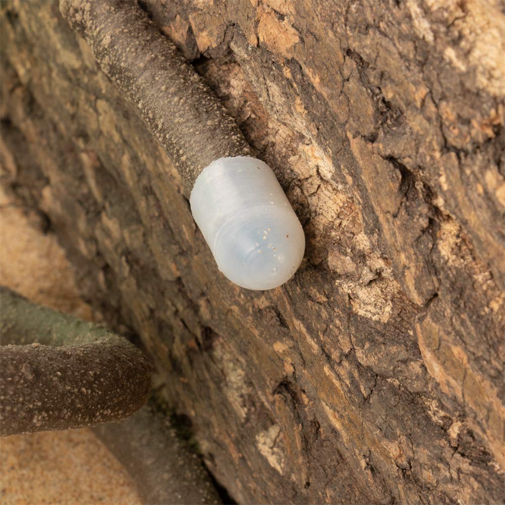 EONMIR 8-Pies Lianas Flexibles para Reptiles, Decoración de - Imagen 6