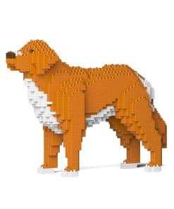 JEKCA Nova Scotia Duck Tolling Retriever 01S-M01 | Bloques