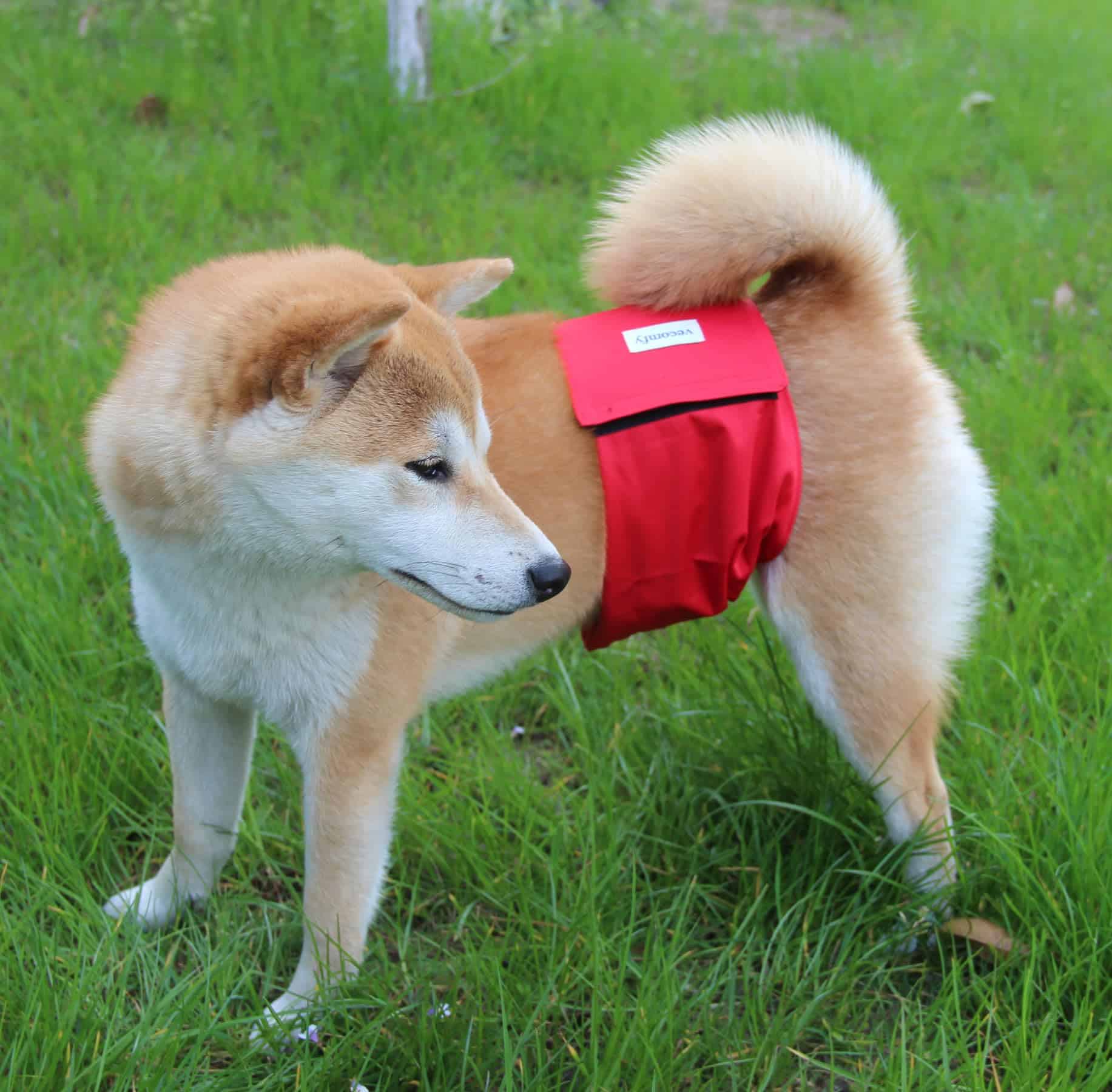 Vecomfy Pañales para Perros Machos (Paquete de 5), - Imagen 6