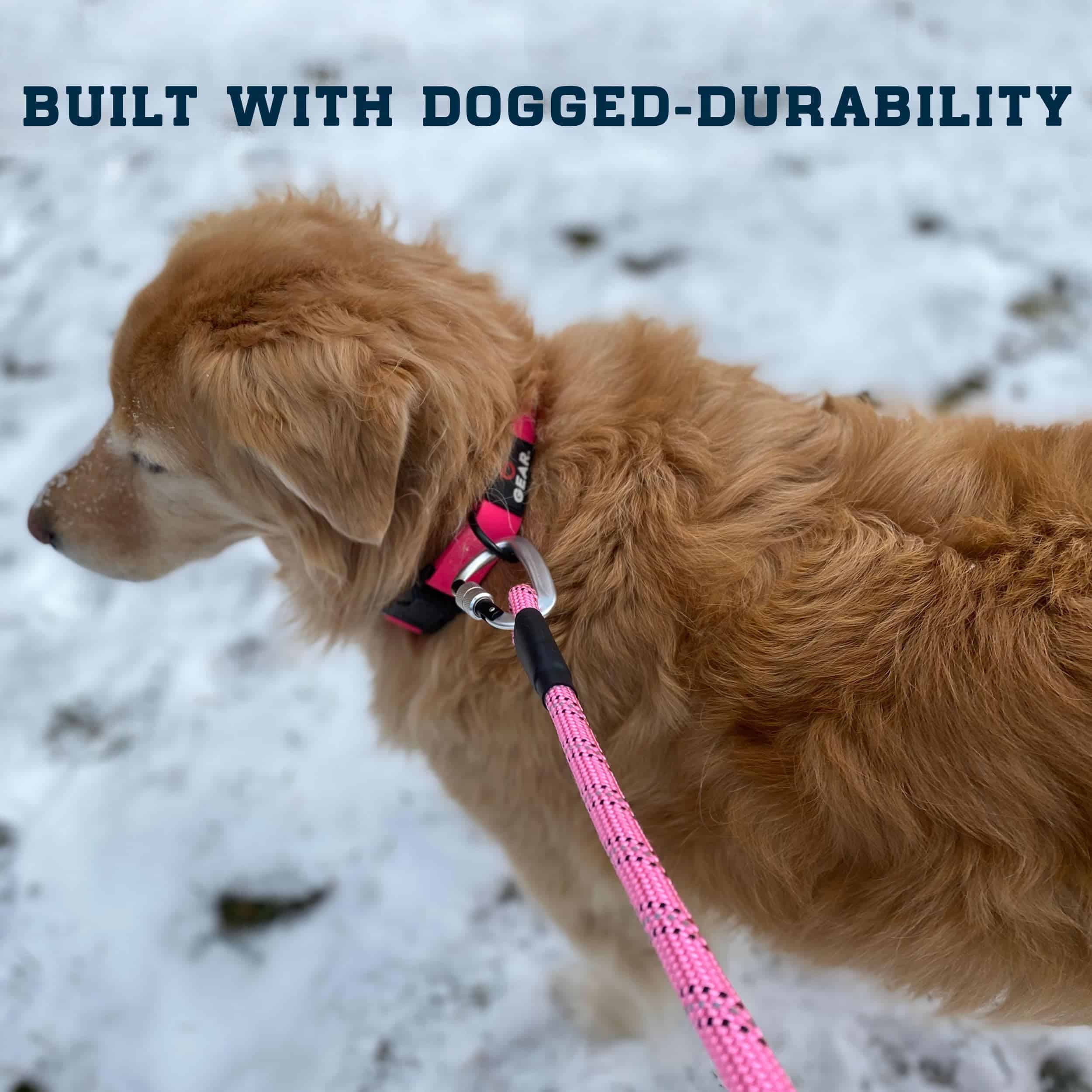 Correa para perros Enthusiast Gear con mosquetón de bloqueo - Imagen 4