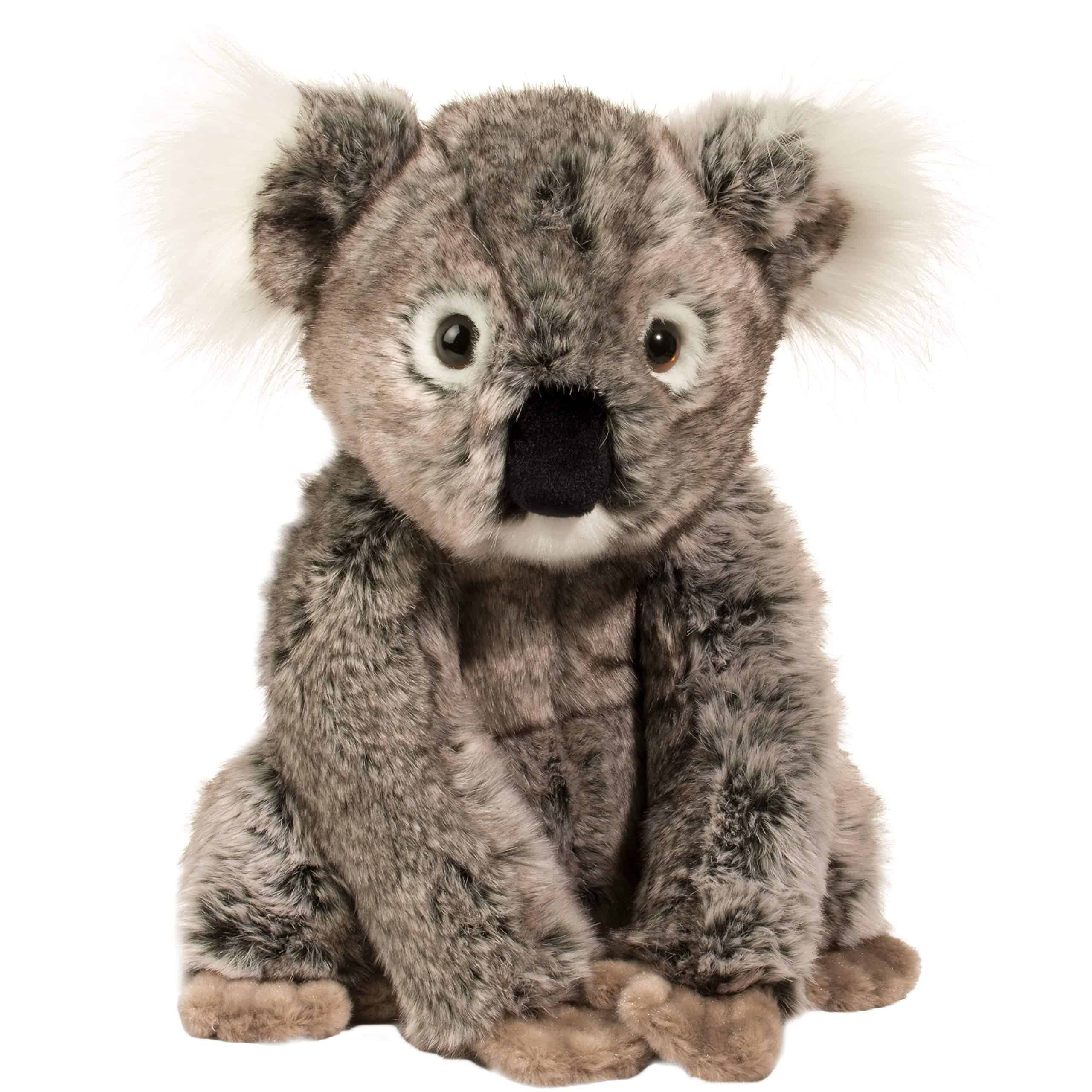 Peluche de Koala Kellen de Douglas