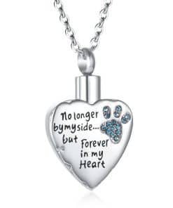 Collar con Colgante de Acero Inoxidable Corazón para