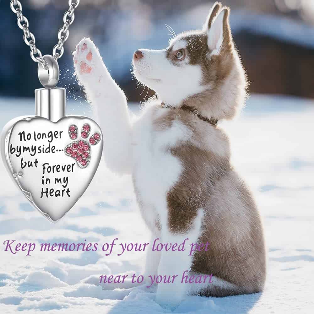 Collar de Cremación de Mascotas en Forma de Corazón de - Imagen 4