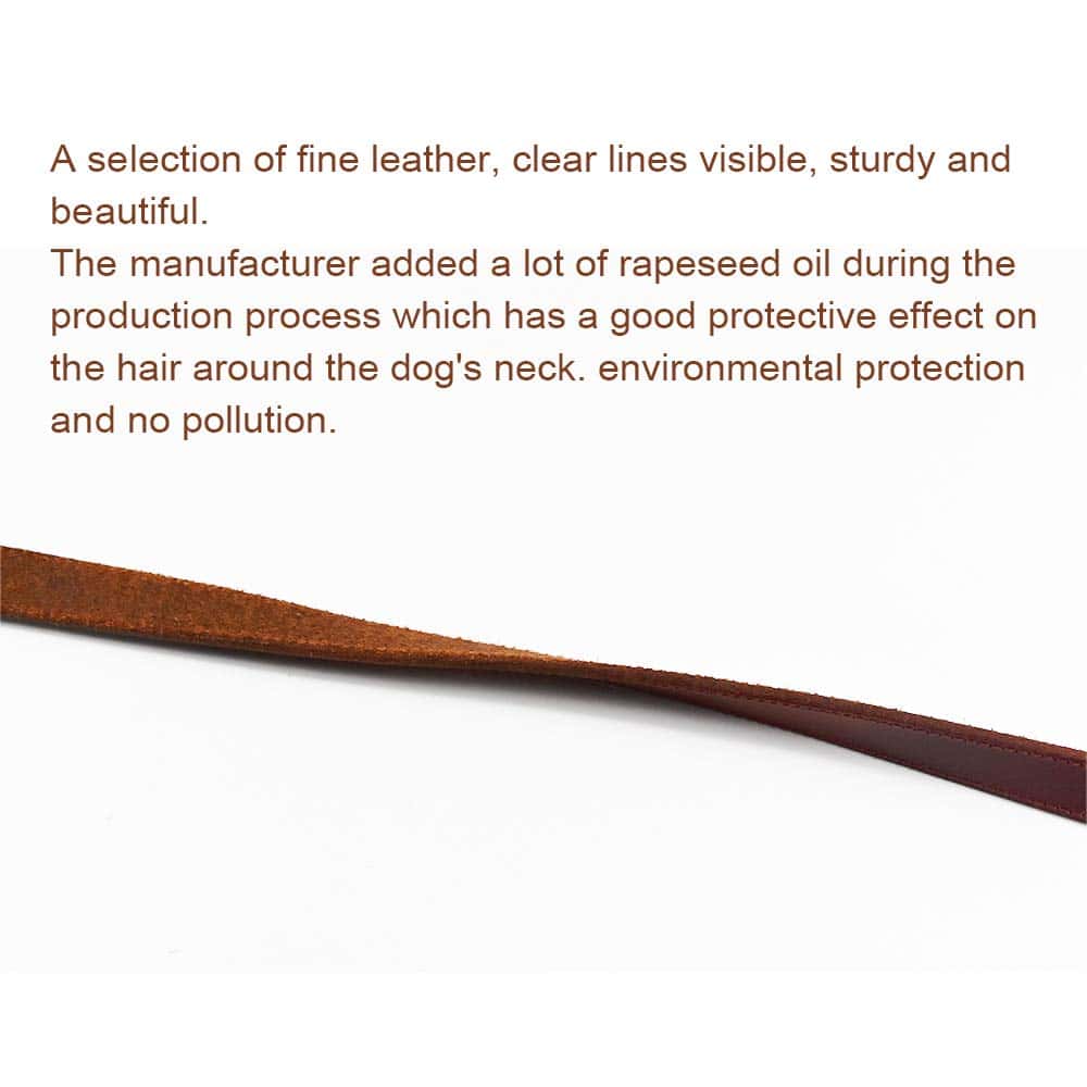 Correa de Cuero para Perros PESHOUCO, Cuero Genuino con 2 - Imagen 4