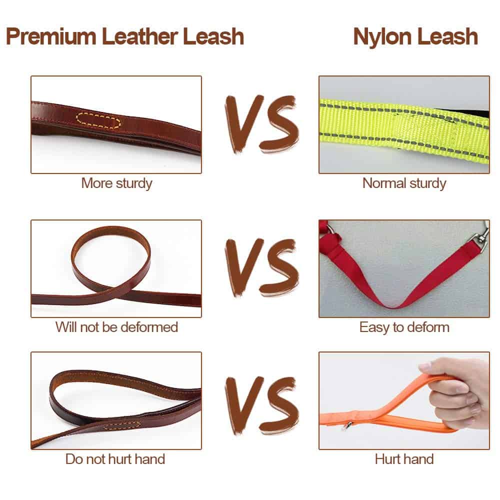 Correa de Cuero para Perros PESHOUCO, Cuero Genuino con 2 - Imagen 6