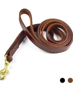 Correa de Cuero para Perros PESHOUCO, Cuero Genuino con 2