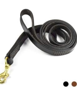 Correa de Cuero PESHOUCO para Perros, Cuero Genuino con 2