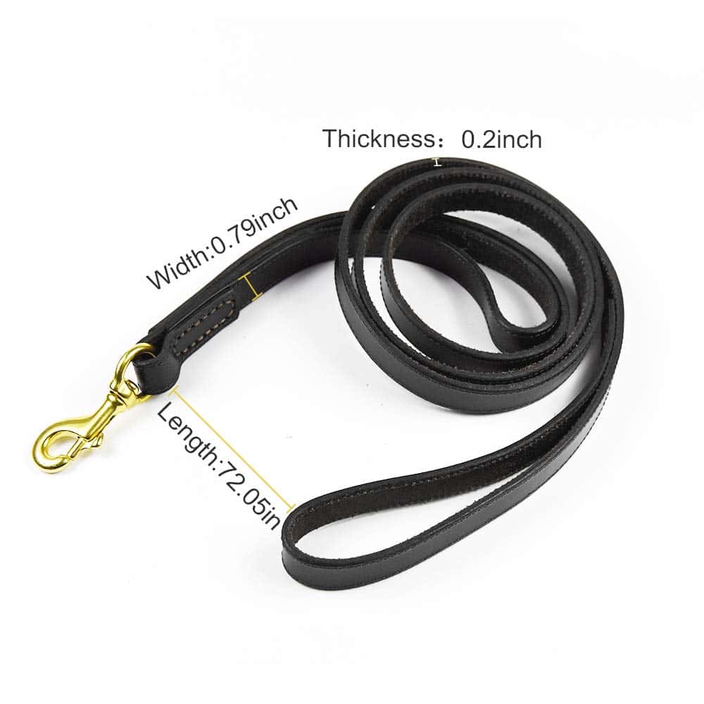 Correa de Cuero PESHOUCO para Perros, Cuero Genuino con 2 - Imagen 3