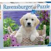 Rompecabezas Ravensburger Golden Retriever 500 Piezas para