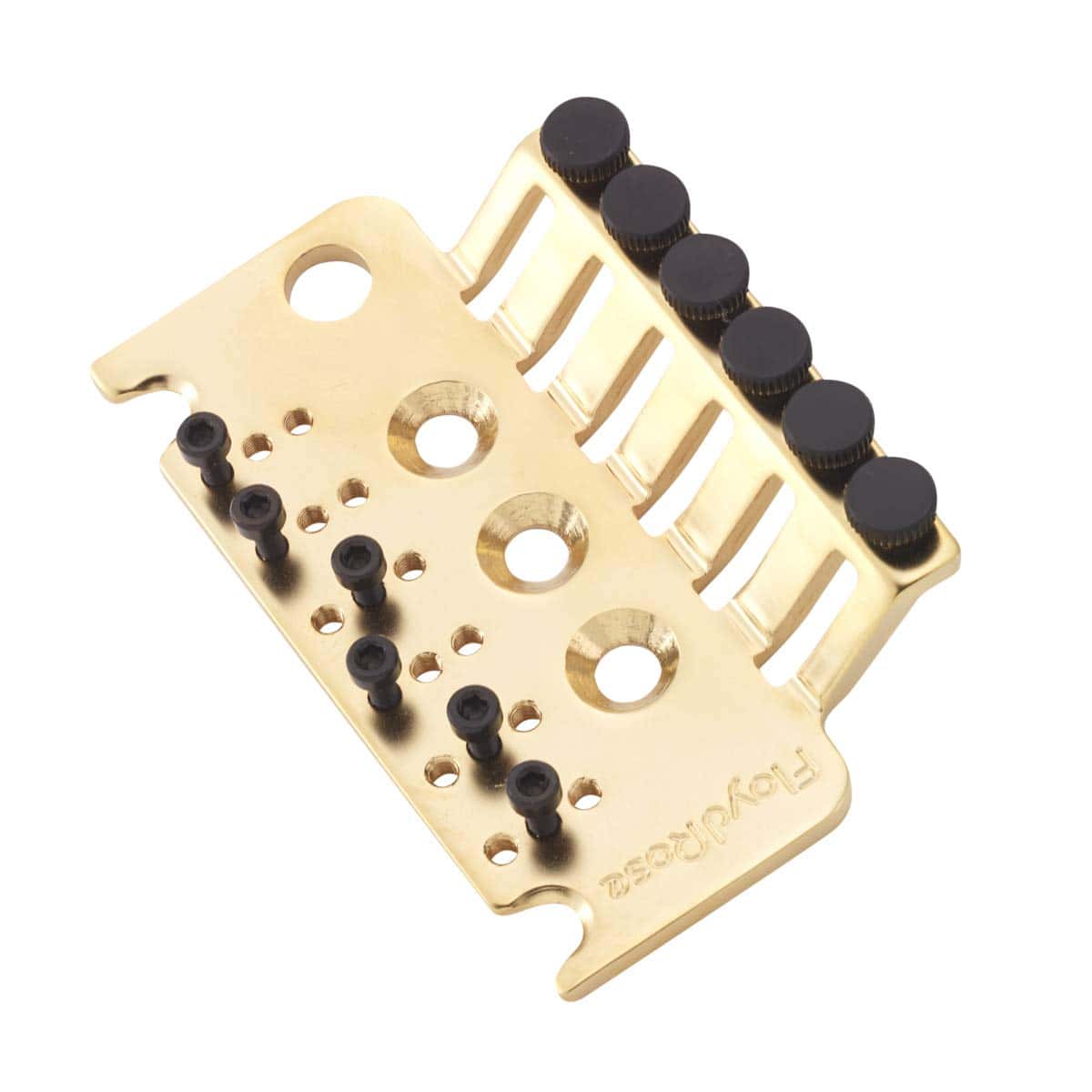 Placa base de la serie 1000 de Floyd Rose (Dorado Satinado)