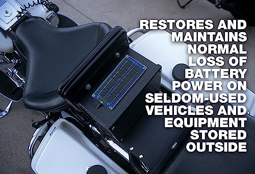 Cargador Mantenedor de Batería SolarPulse SP-3 de - Imagen 9