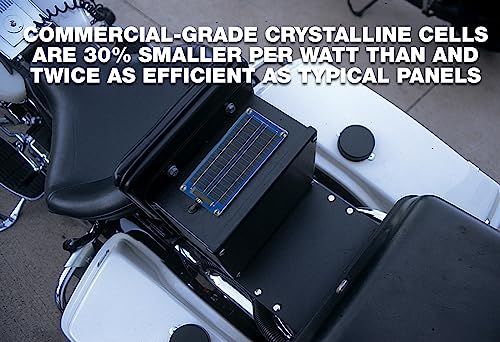 Cargador Mantenedor de Batería SolarPulse SP-3 de - Imagen 10