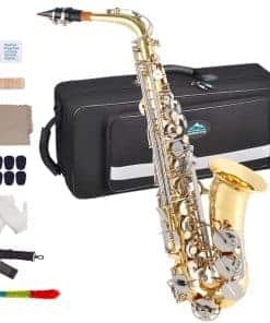 Saxofón Alto EASTROCK en Mi bemol con acabado antiguo Kit