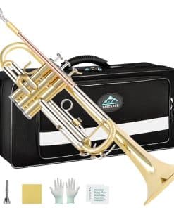 Trompeta Bb EASTROCK Set Estándar con Estuche, Guantes,