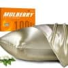 Funda de Almohada de Seda 100% Morera para -Champagne