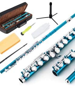 Flauta EastRock en Do con 16 Llaves para Principiantes,