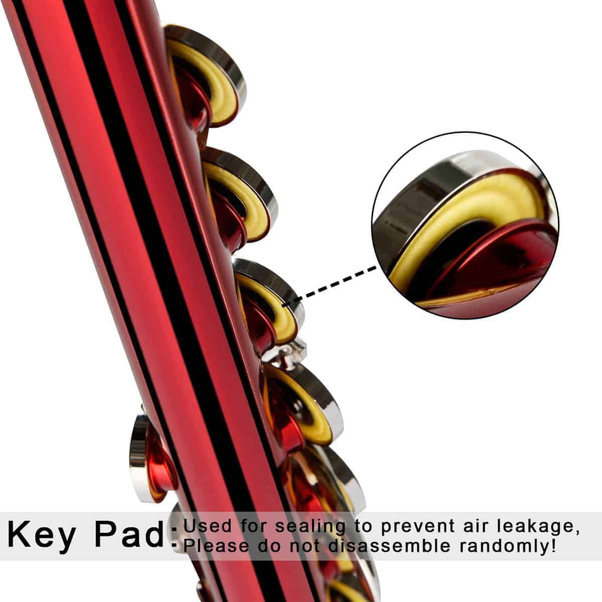 Flauta EastRock Cerrada en Do 16 Llaves para Principiantes, - Imagen 3