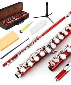 Flauta EastRock Cerrada en Do 16 Llaves para Principiantes,