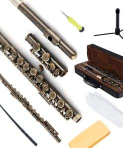 Flauta cerrada EASTROCK C 16 llaves para principiantes,