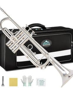 Trompeta Bb estándar EASTROCK con estuche de transporte,