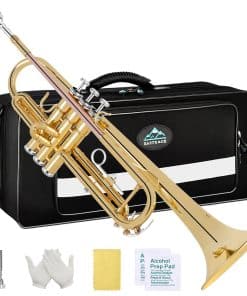 Trompeta Bb estándar EASTROCK con estuche de transporte,