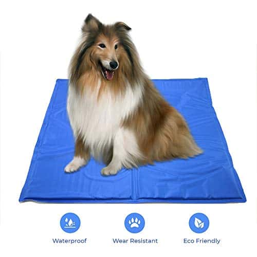 Tapete Relajante para Perros/Gatos, Tapete para Mascotas de