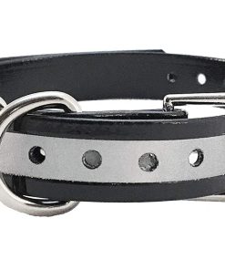 Cinturón de Collar para Perro de Repuesto para la Mayoría