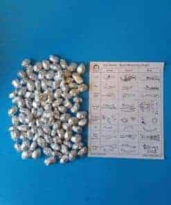 Paquete de 100 Pequeños Pellets de Búho (1+ pulgada)