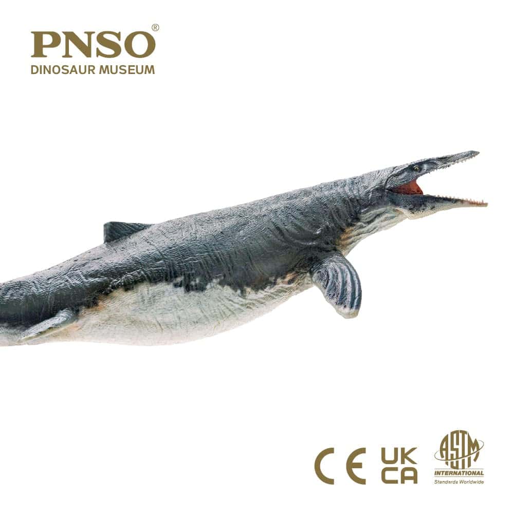 PNSO Serie Museos de Dinosaurios (Ron El Mosasaurio 1:35 - Imagen 7