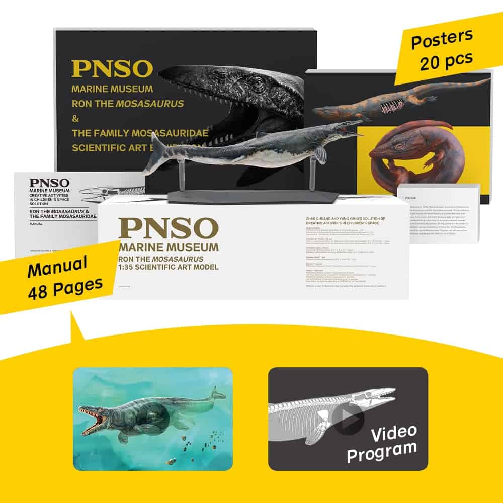 PNSO Serie Museos de Dinosaurios (Ron El Mosasaurio 1:35 - Imagen 4