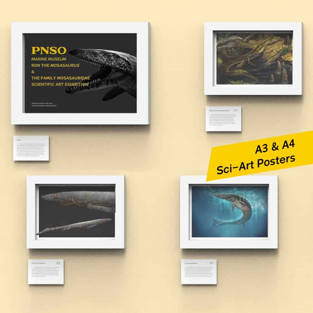 PNSO Serie Museos de Dinosaurios (Ron El Mosasaurio 1:35 - Imagen 6