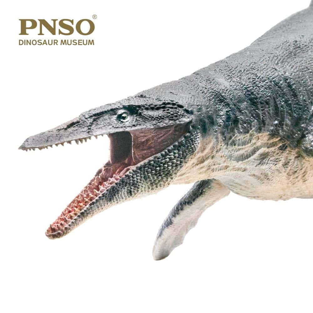 PNSO Serie Museos de Dinosaurios (Ron El Mosasaurio 1:35 - Imagen 3