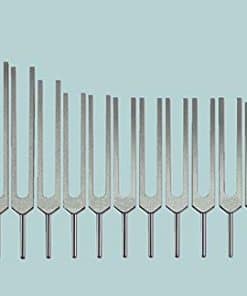 Set de diapasones para afinar órganos humanos