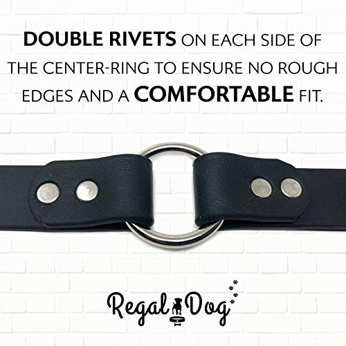 Collar para Perros Pequeños Negro Resistente al Agua con - Imagen 9