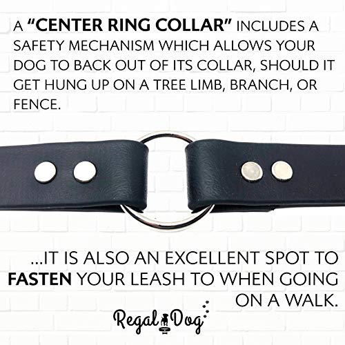 Collar para Perros Pequeños Negro Resistente al Agua con - Imagen 8