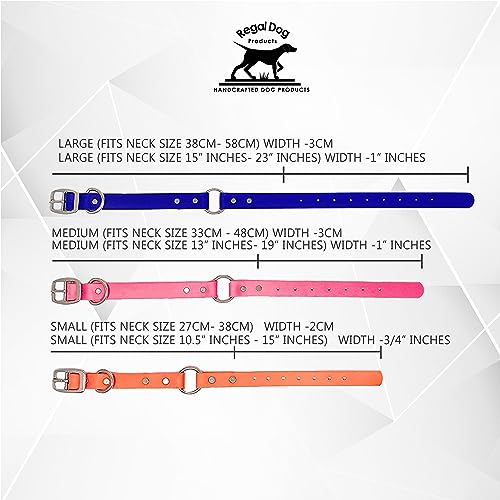 Collar para Perros Pequeños Negro Resistente al Agua con - Imagen 3