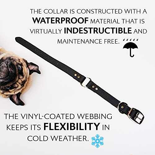 Collar para Perros Pequeños Negro Resistente al Agua con - Imagen 5