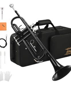 Trompeta Bb estándar Eastar para principiantes con estuche