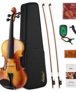 Violín Eastar 4/4 Tamaño Completo para Adultos de Madera