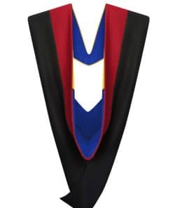 Cappe Diem Hood de Graduación de Maestro Deluxe