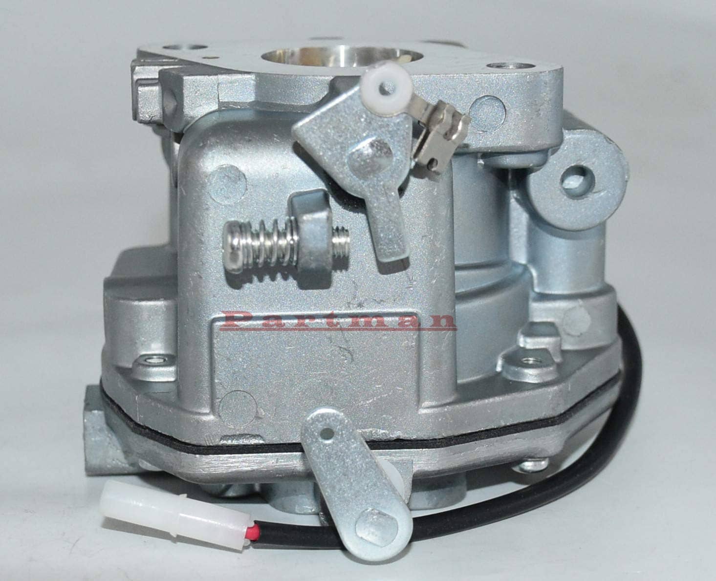 Carburador de Reemplazo Partman Nikki 845015 845906 809013, - Imagen 7