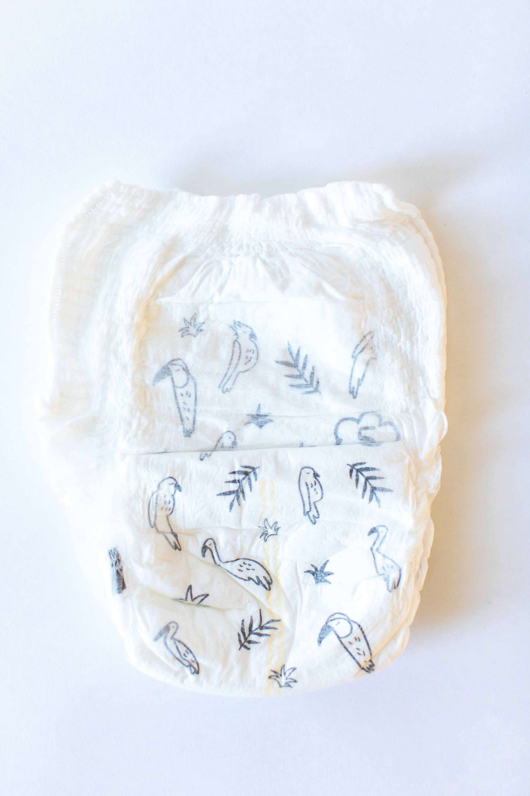 PARASOL Clear+Dry Pantalones de Entrenamiento de Pañales - Imagen 5